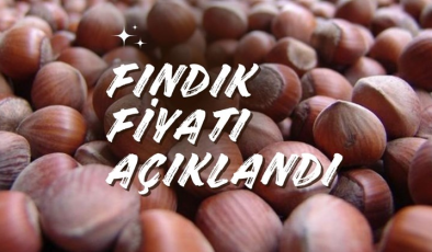 Son dakika! Fındık alım fiyatları açıklandı